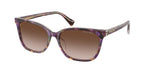 630313 - Violet Havana/Transparent / Gradient Brown