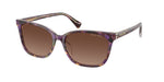 6303T5 - Violet Havana/Transparent / Polarized Gradient Brown