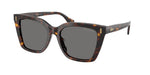 500381 - Shiny Dark Havana / Polarized Grey
