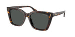 500387 - Shiny Dark Havana / Grey