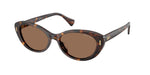500373 - Dark Havana / Brown