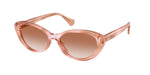 634113 - Rose Havana Brown / Gradient Brown