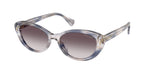 634311 - Grey Havana / Grey Gradient