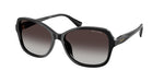 50018G - Shiny Black / Gradient Grey