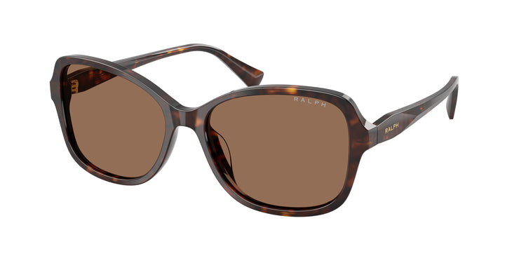 500373 - Shiny Dark Havana / Brown