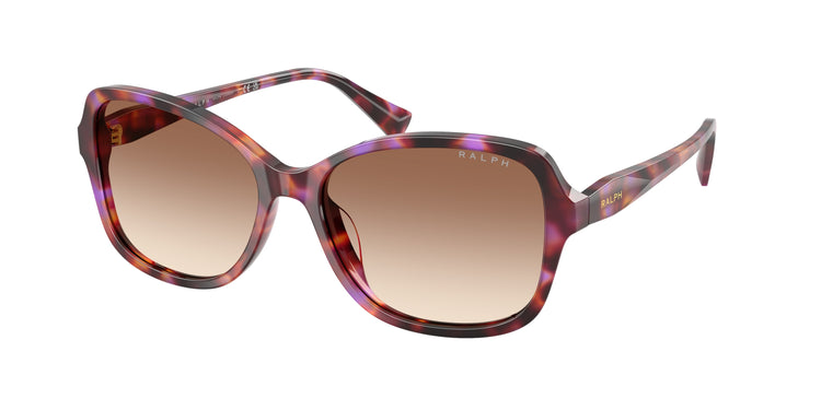 623913 - Violet Havana / Gradient Brown