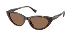 500373 - Shiny Dark Havana / Brown