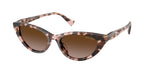 605813 - Shiny Pink Havana / Gradient Brown