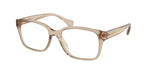 5802 - Shiny Transparent Beige / Demo Lens