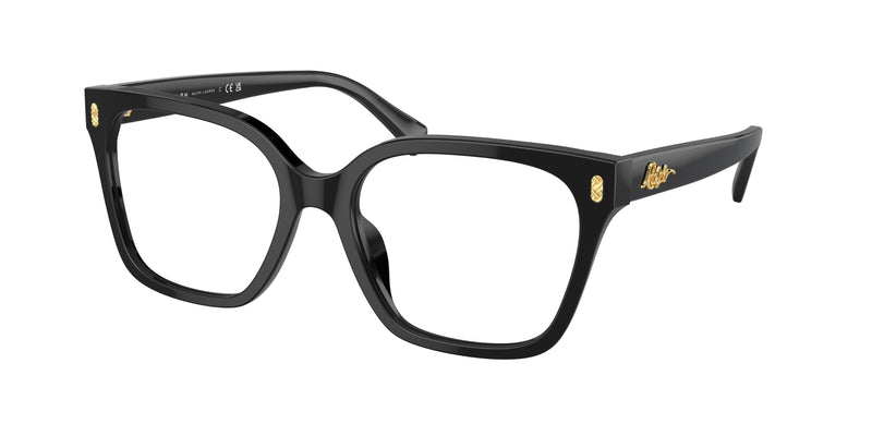 5001 - Shiny Black / Demo Lens