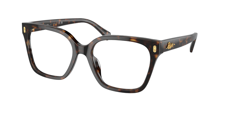 5003 - Shiny Dark Havana / Demo Lens
