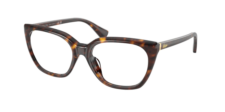 5003 - Shiny Dark Havana / Demo Lens