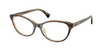 6294 - Transparent Dark Tortoise / Transparent