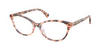 6295 - Transparent Pink Havana / Transparent
