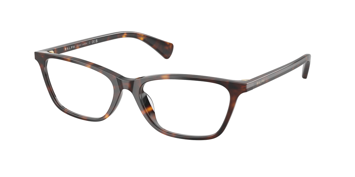 5003 - Shiny Dark Havana / Demo Lens