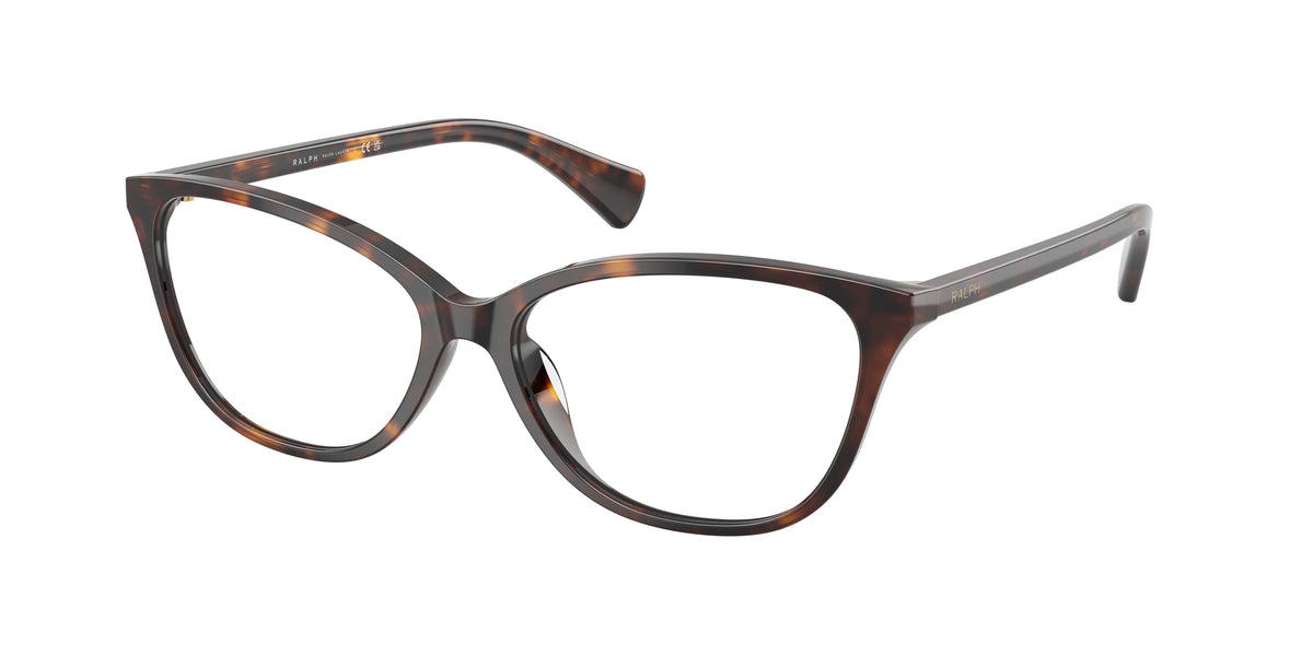 5003 - Shiny Dark Havana / Demo Lens