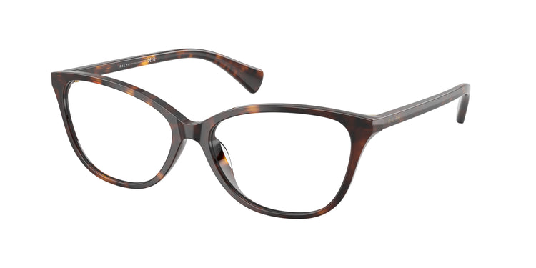 5003 - Shiny Dark Havana / Demo Lens