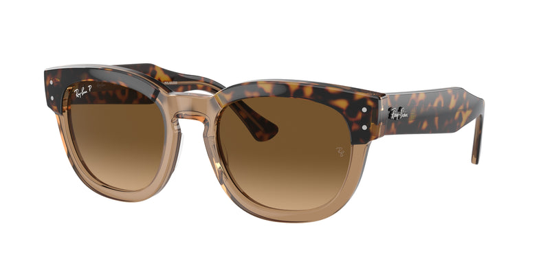 1292M2 - Havana On Transparent Brown / Brown Polarized