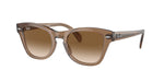 664051 - Transparent Light Brown / Brown