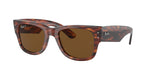 954/57 - Striped Havana / Brown