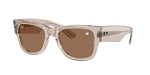 68701A - Transparent Light Brown / Dark Brown