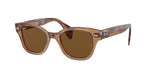 664057 - Transparent Brown / Brown