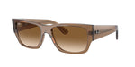 664051 - Transparent Light Brown / Clear & Brown