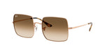 920251 - Rosegold / Clear Gradient Brown
