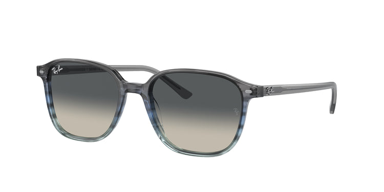 Ray-Ban 0RB2193F LEONARD