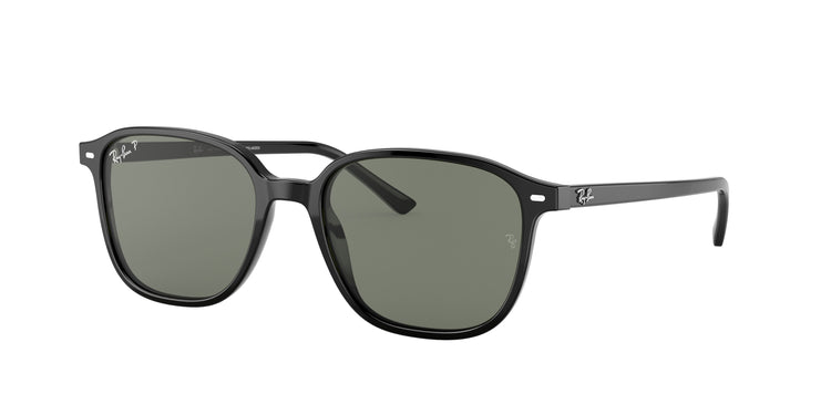Ray-Ban 0RB2193 LEONARD