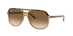 129251 - Havana On Transparent Brown / Light Brown Gradient