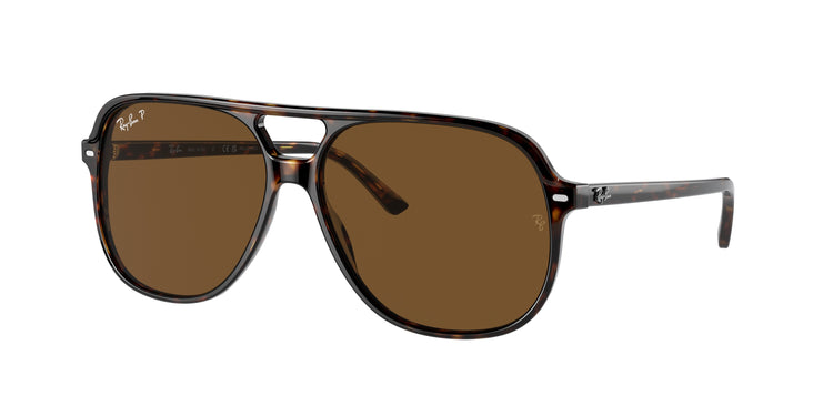 Ray-Ban 0RB2198 BILL