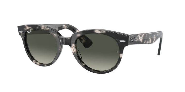 Ray-Ban 0RB2199 ORION