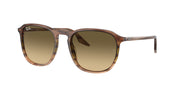 Ray-Ban 0RB2203