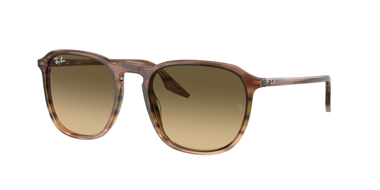 Ray-Ban 0RB2203