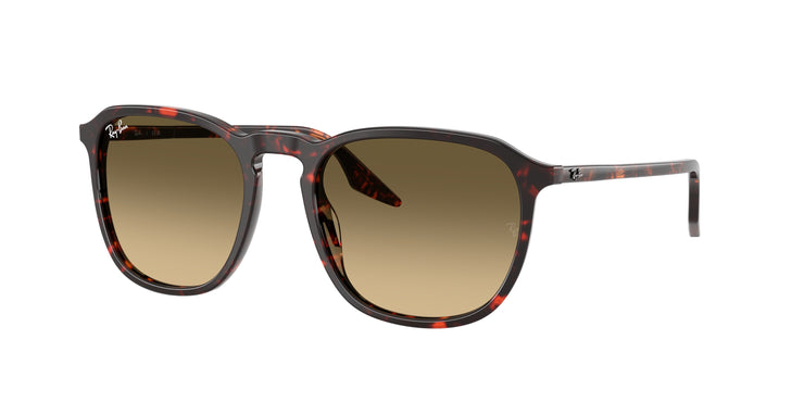 Ray-Ban 0RB2203