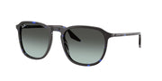 Ray-Ban 0RB2203