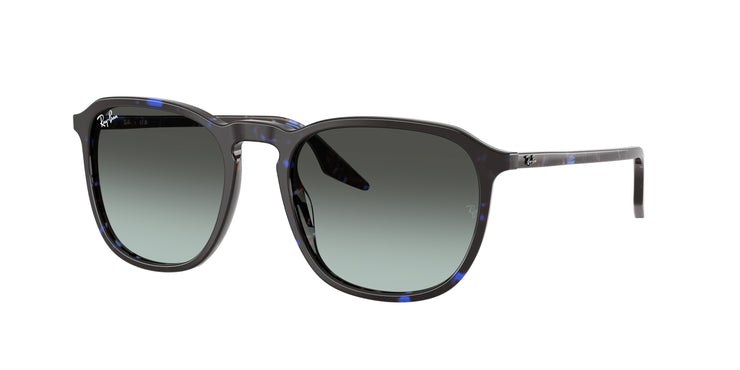 Ray-Ban 0RB2203