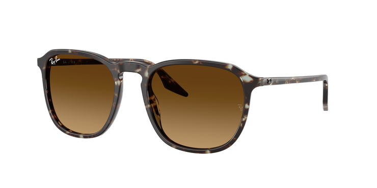 Ray-Ban 0RB2203