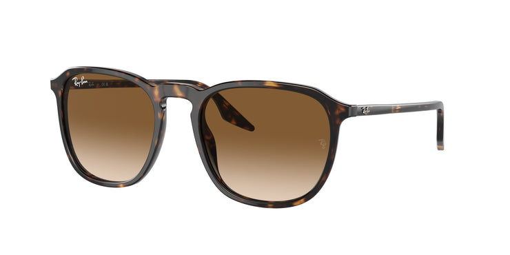 Ray-Ban 0RB2203