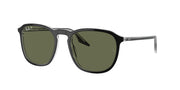 Ray-Ban 0RB2203