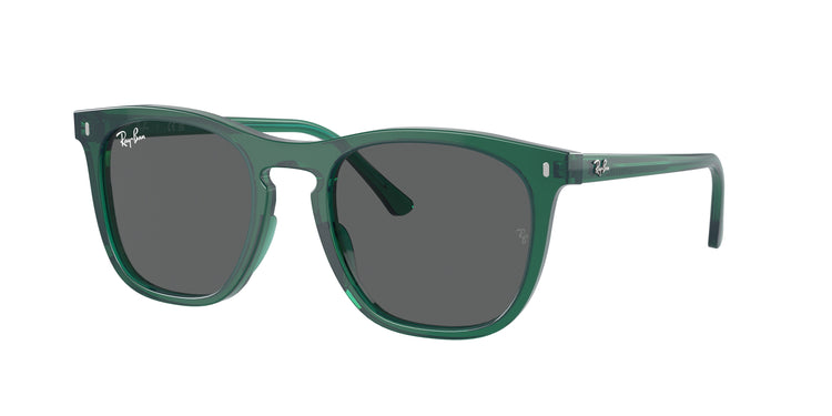 Ray-Ban 0RB2210