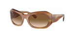 140351 - Striped Brown / Clear & Brown