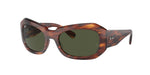 954/31 - Striped Havana / Green