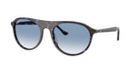 14303F - Havana Blue Turtle / Clear Gradient Blue