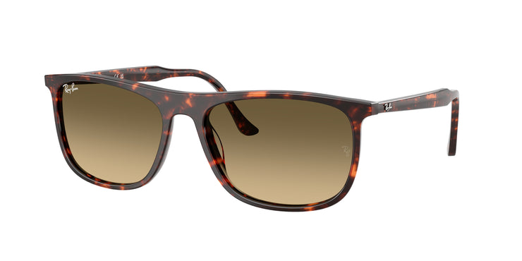 Ray-Ban 0RB2216