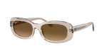 6827M2 - Transparent Beige / Gradient Brown Polarized