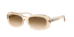 690251 - Transparent Nude / Clear Gradient Brown