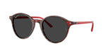 141948 - Transparent Shade Fantasy Red / Polar Black