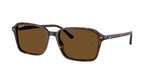902/57 - Havana / Brown Polarized